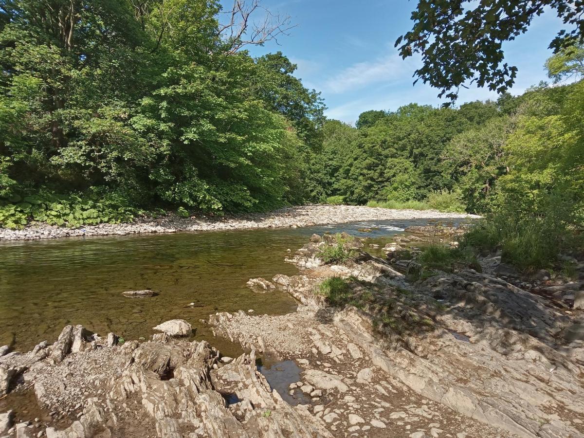 Hill View Studio Hawick Bagian luar foto
